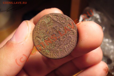 Деньга 1731 года перечекан с копейки - Деньга 1731 года(3).JPG