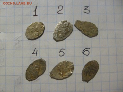 Чешуйки на определение и оценку. - S6305844.JPG