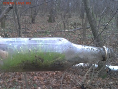 Покопушки от Русланыча . - 3826090