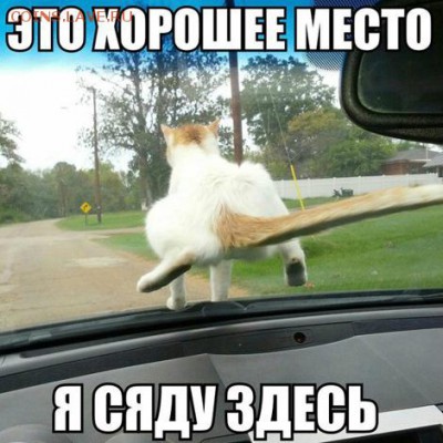 Ассоциация слов - image206