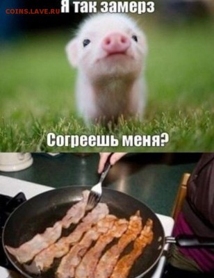 юмор - image