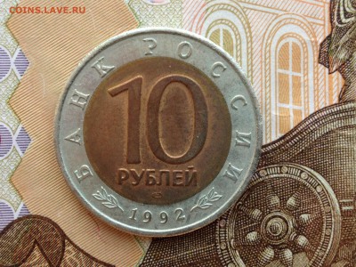 КК Амурский тигр до 27.02.2015 в 22.22 - image