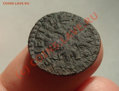 Полушка 1713, денга 1714 - DSC04599.JPG
