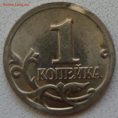 Браки на 1 копейке - P1010672а