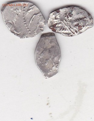 Чешуя Петра Алексеевича 3 шт (5) до 26.02. в 22.00 - IMG_20150225_0010