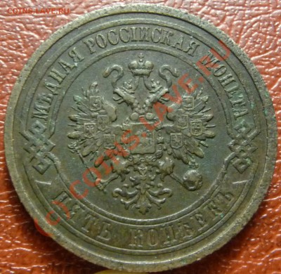 5 коп. 1911 на оценку. - P1030866.JPG