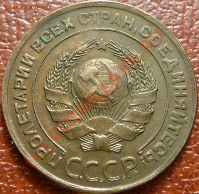 №3 - P1030856.JPG