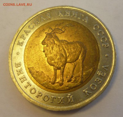 КК 1991год Рыбный Филин, Винторогий козёл до 28.02.15 22-00 - коз.р