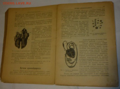 2 книги на оценку . - P1160250.JPG