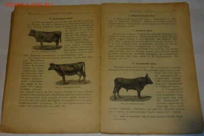 2 книги на оценку . - P1160253.JPG