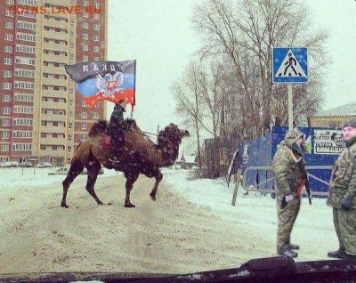 Ополченцы уже начали отбирать трофеи из ОАЭ!!!! )))))) - eHMIMC6WLow