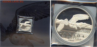 Канада. $50 за $50.#01-Полярная Сова. до 05.03.15 в 21.30 - CoinsWorldSUperCollection244