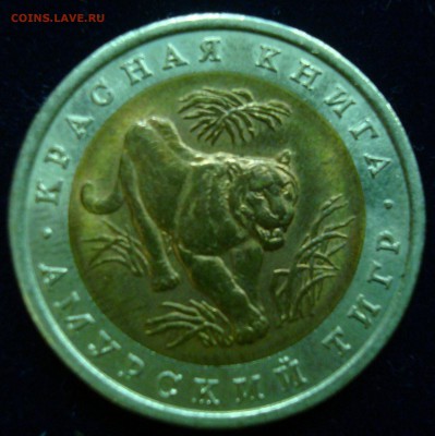 10 рублей 1992г. Амурский тигр до 01.03.15 - DSC00949.JPG