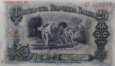 Решение социальных проблем Европы (одна картинка) - image