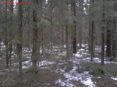 Покопушки от Русланыча . - 4295722