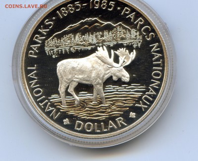 Канада. 1985 г. $1. НАЦИОНАЛЬНЫЙ ПАРК. ЛОСЬ до 05.03 в 21.30 - CoinsWorldSUperCollection269