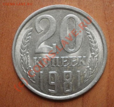 помогите оценить 20коп - P5204066.JPG