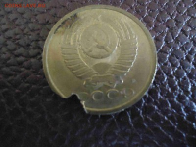 помогите определить - DSC02600_thumb