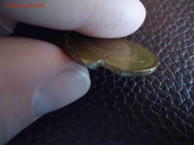 помогите определить - DSC02601_thumb