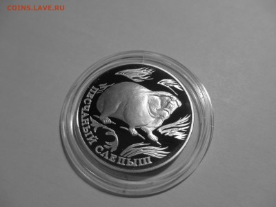 КК 3 монеты 1996 год Ag900 (сапсан, слепыш, зублефар) - IMG_3462