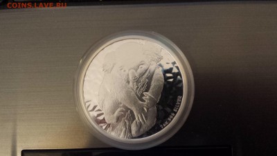 1 доллар Австралия 2007 год, Коала, до 06.03.2015г - 20150223_113024