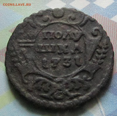 полушка + денга 1731 г.(перечеканы)-до 07.03.2015г. в 22.00 - п731р.JPG