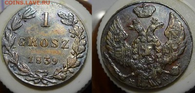 1 грош 1839 и 5 грошей 1840 - 1grosz1839mw