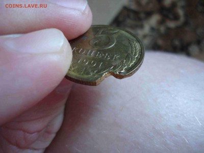 помогите определить - DSC02977_thumb