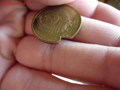 помогите определить - DSC02978_thumb