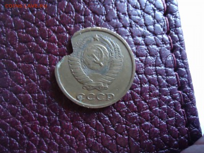 помогите определить - DSC02980_thumb