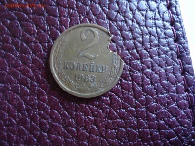 помогите определить - DSC02981_thumb