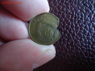 помогите определить - DSC02982_thumb