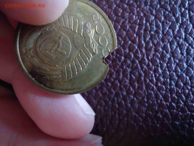 помогите определить - DSC02985_thumb
