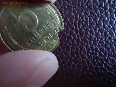 помогите определить - DSC02987_thumb