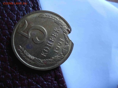 помогите определить - DSC02990_thumb