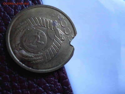 помогите определить - DSC02991_thumb
