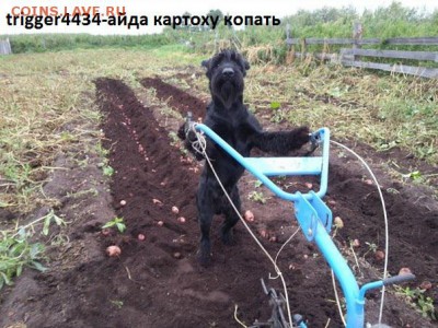 Ну а теперь про Украину - 4a5BaxBuEzg