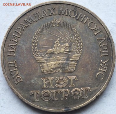 1 тугрик 1981 года ( монголия ), оценка. - DSCF0479
