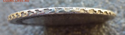 3 - P1120100.JPG