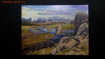 Россия. Фауна. Республика Тыва. Убсунурская котловина - IMG_20150301_233059