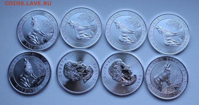 Серебро 999 пробы  Канада серый волк 08.03.22:15 - волк1
