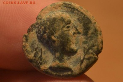 Иберия.Семис.Испанские кельты.Город Кастуло I-II век до н.э - CSC_0359 (2).JPG