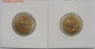 КК 1994 г слепыш и фламинго - kk2-0.JPG