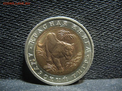 10 рублей 1992 Амурский тигр брак? Разлом? - IMG_9595.JPG