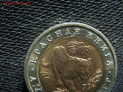 10 рублей 1992 Амурский тигр брак? Разлом? - IMG_9597.JPG
