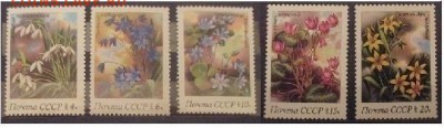 СССР. Весенние цветы - IMG_0