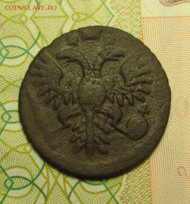 полушка 1734 - 1737 гг. - IMG_3590.JPG
