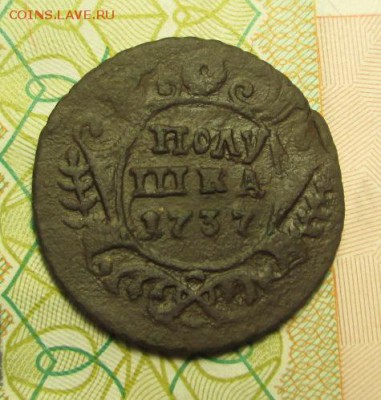 полушка 1734 - 1737 гг. - IMG_3589.JPG