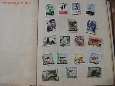Марки СССР 1948-1964 годов Оценка. - IMG_0106.JPG