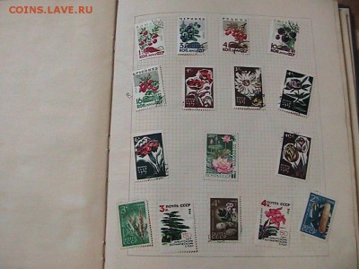 Марки СССР 1948-1964 годов Оценка. - IMG_0108.JPG